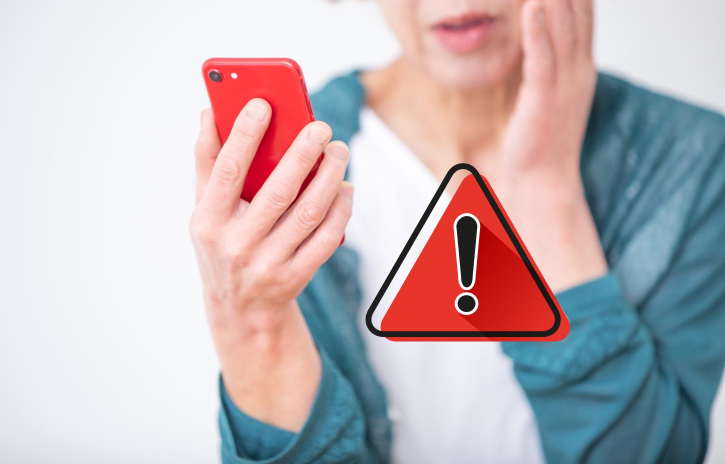 Polícia Investiga Possível Golpe do PIX em Leilão Online