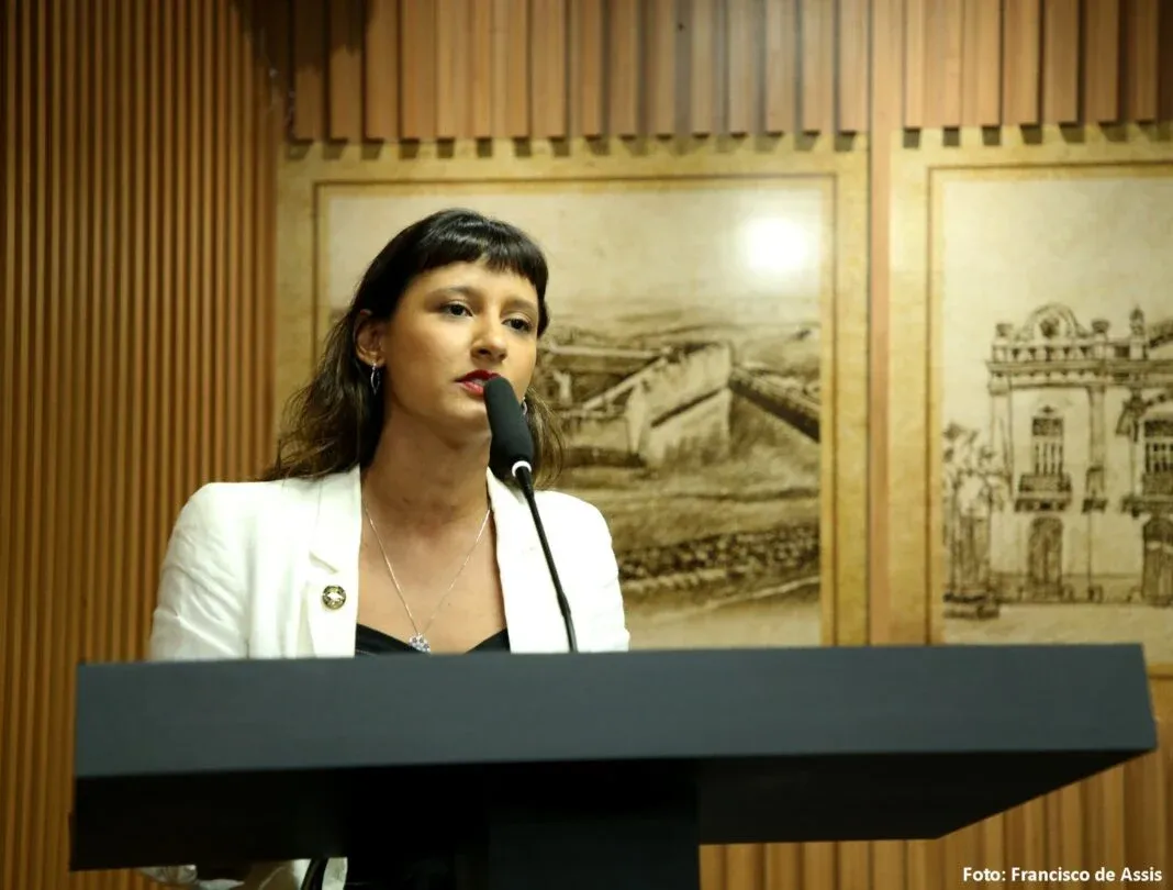 Câmara oficializa comissão para apurar pedido de cassação de Brisa